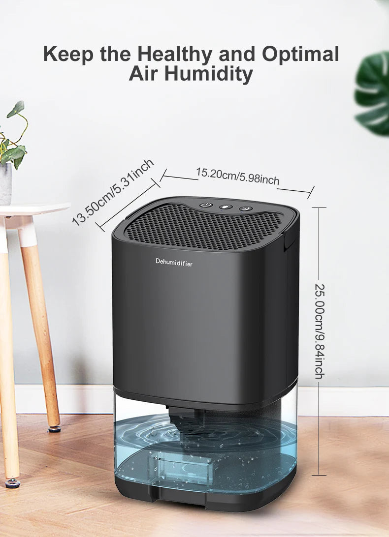 Smart Mini Air Purifier and Dehumidifier