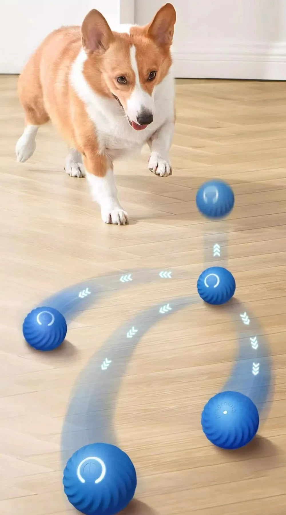 Automatic Interactive Dog Ball – USB Rechargeable
