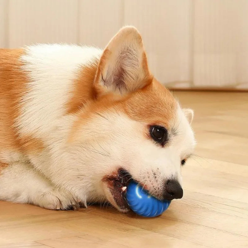 Automatic Interactive Dog Ball – USB Rechargeable