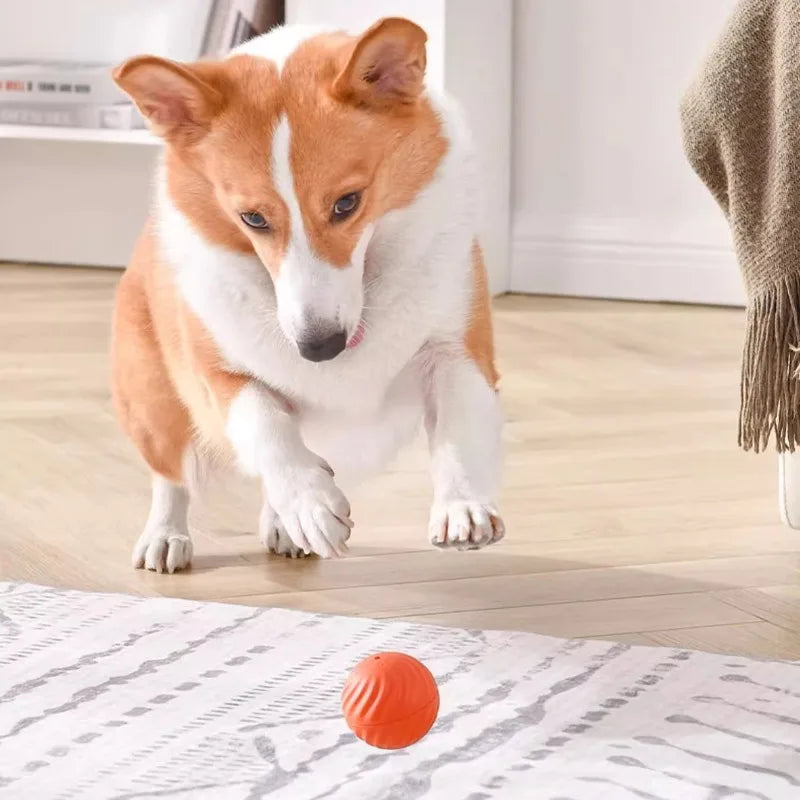 Automatic Interactive Dog Ball – USB Rechargeable