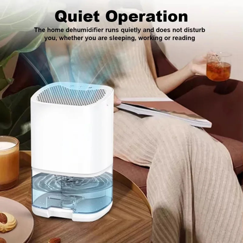 Smart Mini Air Purifier and Dehumidifier
