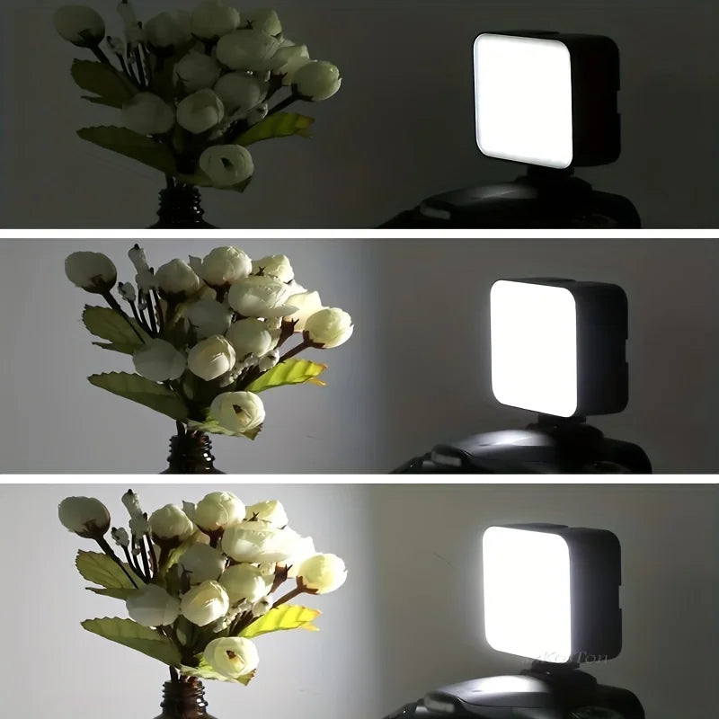 Portable Mini Ring Light with 10 Brightness Modes USB