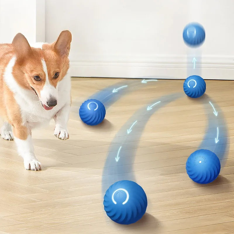 Automatic Interactive Dog Ball – USB Rechargeable
