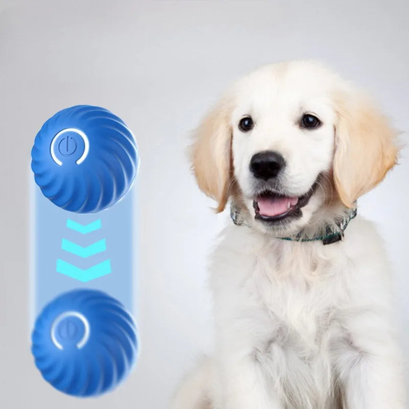 Automatic Interactive Dog Ball – USB Rechargeable