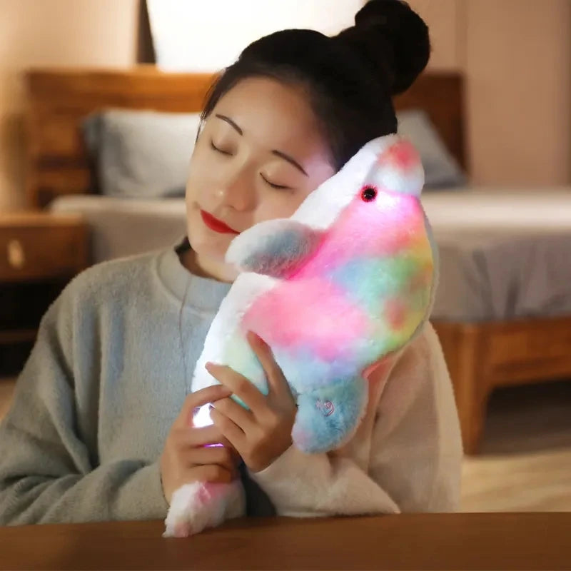30cm Dolphin Plush Pillow with LED Light – Illuminated Toy for Children